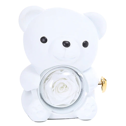 Urso Rotativo & Rosa Eterna